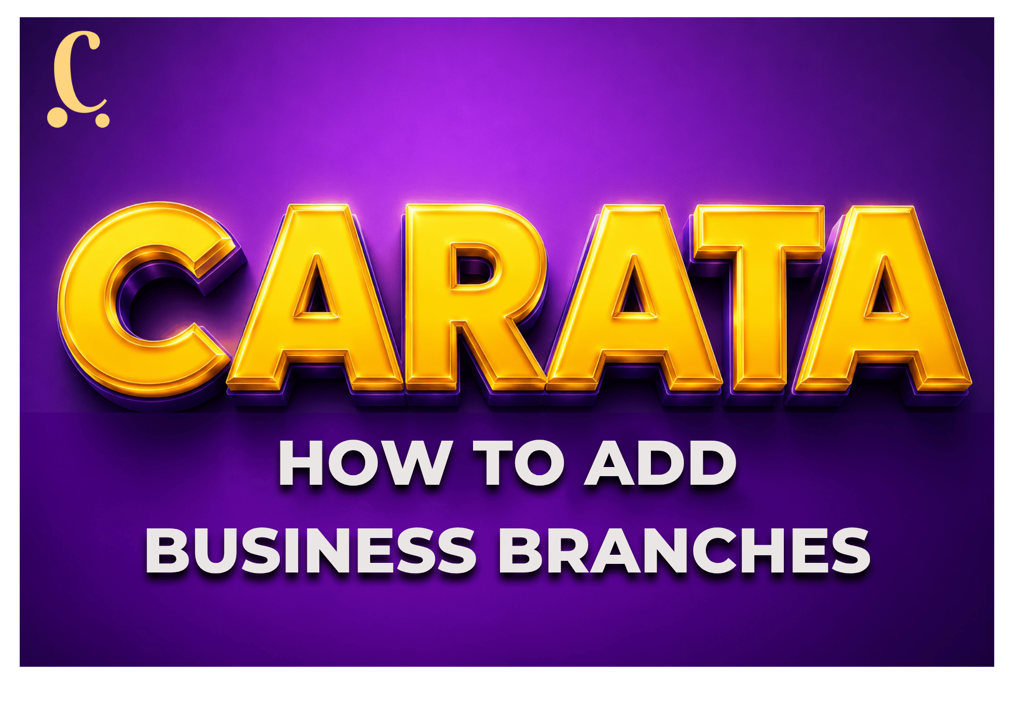 Read more about the article How To Add Business Branches on Carata 4